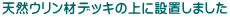 �V�R�E�����ރf�b�L�̏�ɐݒu���܂���