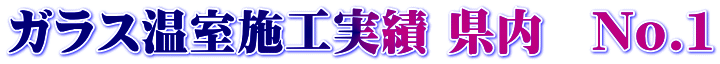 �K���X�����{�H���� �����@No.�P