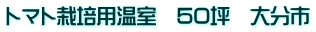 �g�}�g�͔|�p�����@50�؁@�啪�s