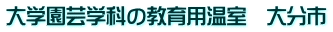 ��w���|�w�Ȃ̋���p�����@�啪�s